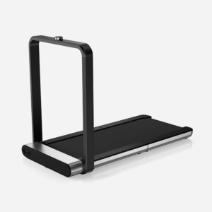 KingSmith WalkingPad X21
