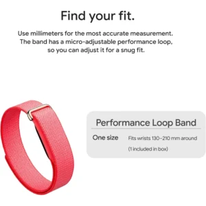 Google Fitbit Air Berry - Screenless Activity Tracker detail view - Totot.ae