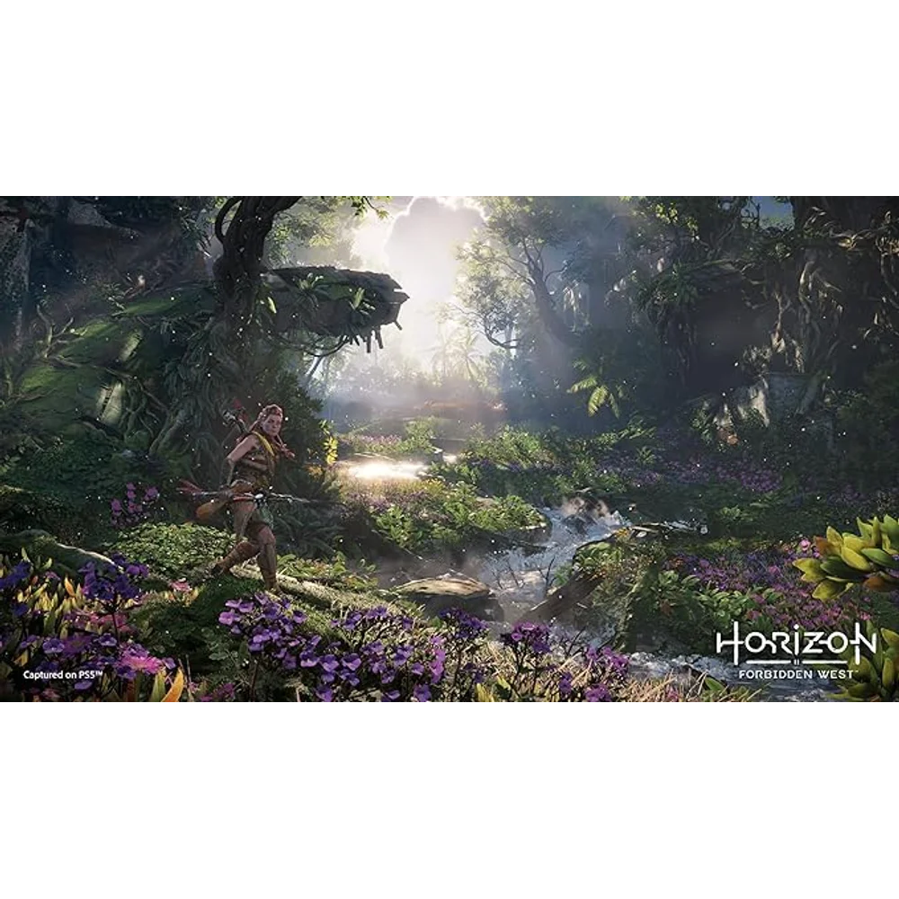 Horizon Forbidden West PS5 - 4K, 60fps, DualSense Features 10 Horizon Forbidden West PS5 - 4K, 60fps, DualSense Features - Image 10