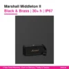 Marshall Middleton II Black and Brass