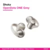 Shokz OpenDots ONE Grey
