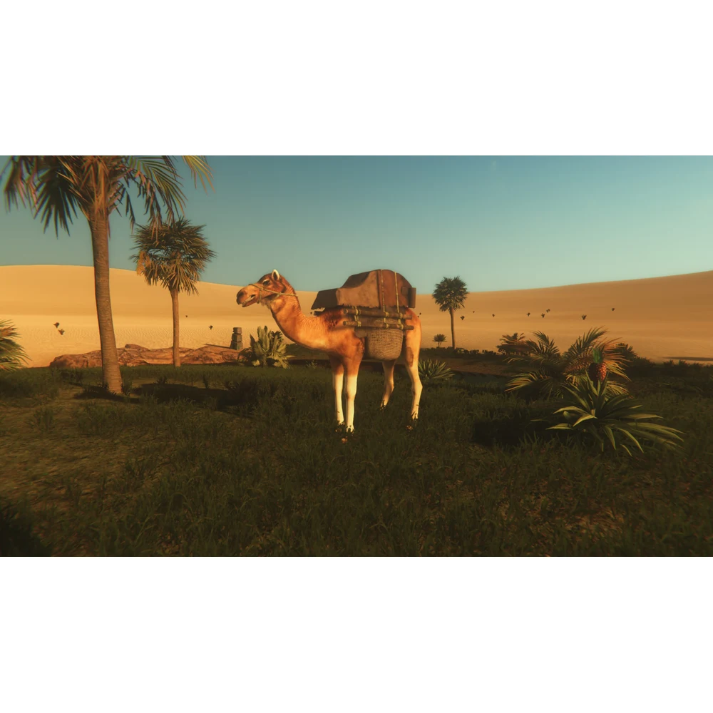 لعبة Starsand لجهاز PS4 – مغامرة نجاة في صحراء مفتوحة بمساحة 64 كم² مع صناعة الأدوات وبناء المأوى – قرص أصلي 10 لعبة Starsand PS4